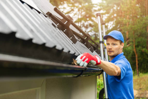 Clean gutters on a home after professional cleaning